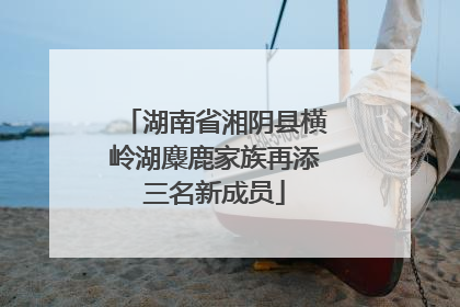 湖南省湘阴县横岭湖麋鹿家族再添三名新成员