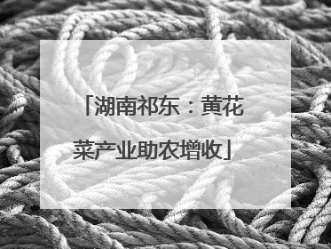 湖南祁东：黄花菜产业助农增收