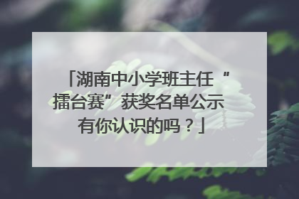 湖南中小学班主任“擂台赛”获奖名单公示 有你认识的吗？