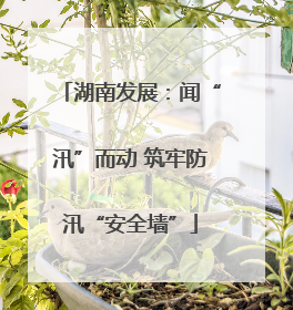 湖南发展：闻“汛”而动 筑牢防汛“安全墙”