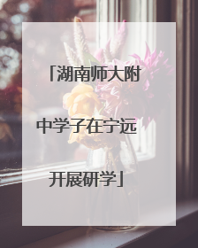 湖南师大附中学子在宁远开展研学