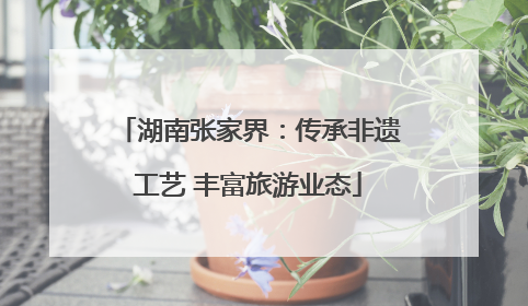 湖南张家界：传承非遗工艺 丰富旅游业态