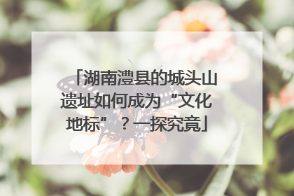 湖南澧县的城头山遗址如何成为“文化地标”？一探究竟
