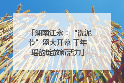湖南江永：“洗泥节”盛大开幕 千年瑶韵绽放新活力