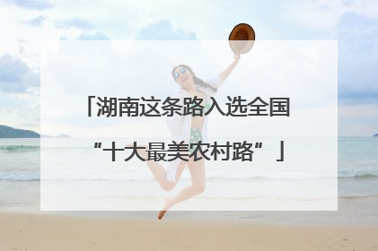 湖南这条路入选全国“十大最美农村路”