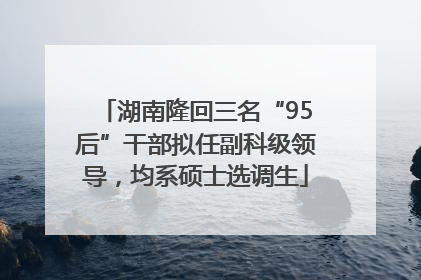 湖南隆回三名“95后”干部拟任副科级领导，均系硕士选调生