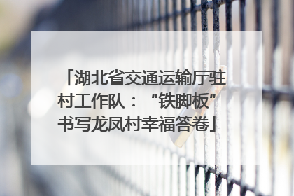 湖北省交通运输厅驻村工作队：“铁脚板”书写龙凤村幸福答卷