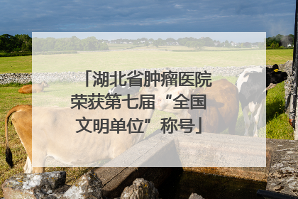 湖北省肿瘤医院荣获第七届“全国文明单位”称号