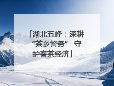湖北五峰：深耕“茶乡警务” 守护春茶经济