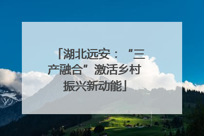 湖北远安：“三产融合”激活乡村振兴新动能
