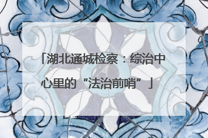 湖北通城检察：综治中心里的“法治前哨”