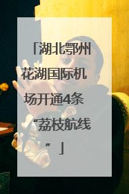 湖北鄂州花湖国际机场开通4条“荔枝航线”