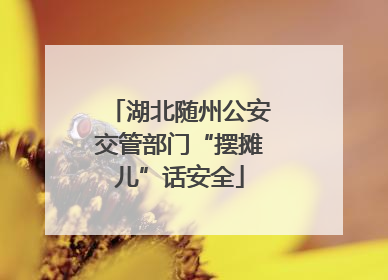 湖北随州公安交管部门“摆摊儿”话安全