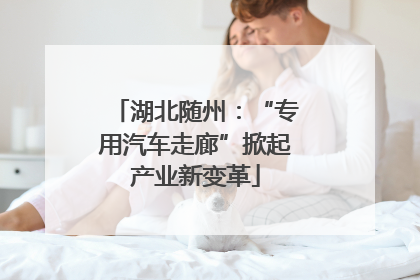 湖北随州：“专用汽车走廊”掀起产业新变革