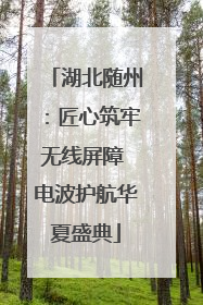 湖北随州：匠心筑牢无线屏障 电波护航华夏盛典