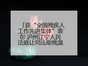 获“全国残疾人工作先进集体”表彰 泸州江宁人民法庭让司法助残温暖有力
