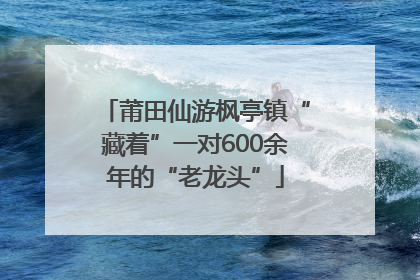 莆田仙游枫亭镇“藏着”一对600余年的“老龙头”