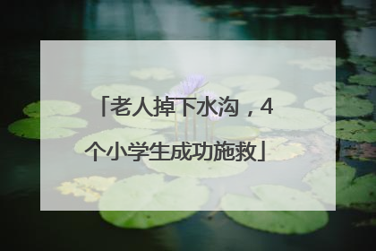 老人掉下水沟，4个小学生成功施救