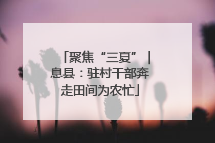 聚焦“三夏”｜息县：驻村干部奔走田间为农忙