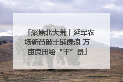 聚焦北大荒丨延军农场新苗破土铺绿浪 万亩良田绘“丰”景
