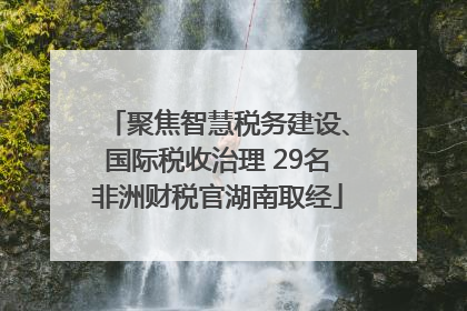 聚焦智慧税务建设、国际税收治理 29名非洲财税官湖南取经