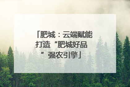 肥城：云端赋能 打造“肥城好品”强农引擎