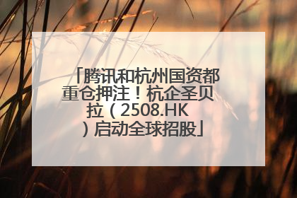 腾讯和杭州国资都重仓押注！杭企圣贝拉（2508.HK）启动全球招股