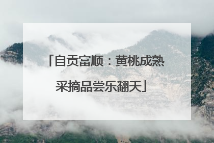 自贡富顺：黄桃成熟 采摘品尝乐翻天