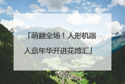 萌翻全场！人形机器人嘉年华开进花博汇