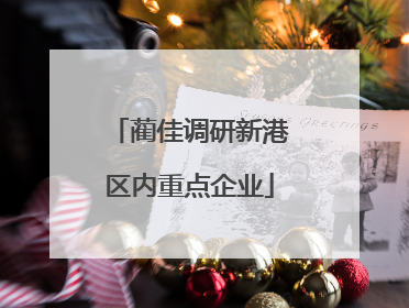蔺佳调研新港区内重点企业