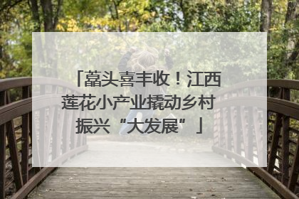藠头喜丰收！江西莲花小产业撬动乡村振兴“大发展”