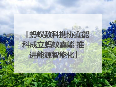 蚂蚁数科携协鑫能科成立蚂蚁鑫能 推进能源智能化