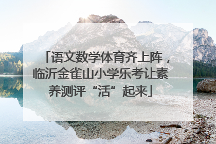 语文数学体育齐上阵，临沂金雀山小学乐考让素养测评“活”起来