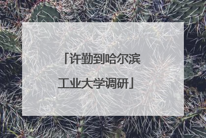 许勤到哈尔滨工业大学调研