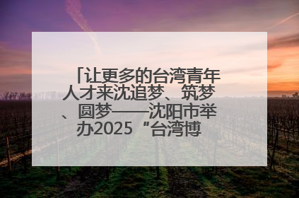让更多的台湾青年人才来沈追梦、筑梦、圆梦——沈阳市举办2025“台湾博士沈阳行”活动