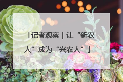 记者观察｜让“新农人”成为“兴农人”