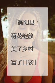 衡阳县：荷花绽放 美了乡村 富了口袋