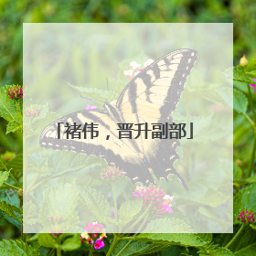 褚伟，晋升副部