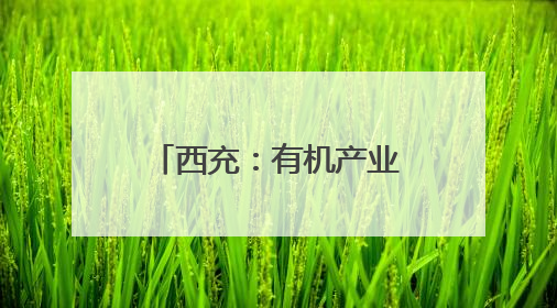 西充：有机产业深度融合 绘就乡村振兴新画卷