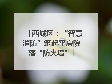 西城区：“智慧消防”筑起平房院落“防火墙”