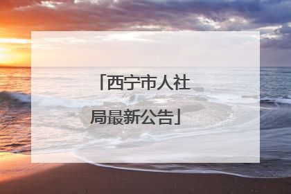 西宁市人社局最新公告