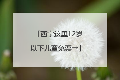 西宁这里12岁以下儿童免票→