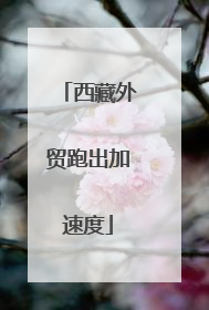 西藏外贸跑出加速度