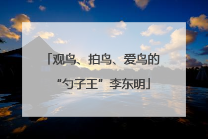 观鸟、拍鸟、爱鸟的“勺子王”李东明