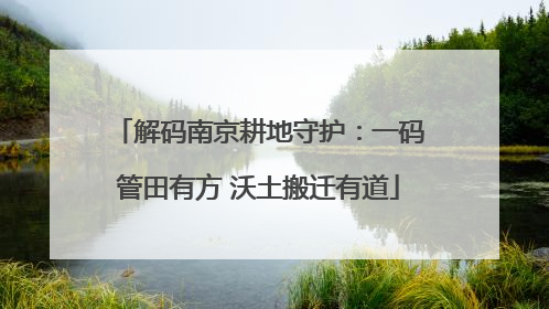 解码南京耕地守护：一码管田有方 沃土搬迁有道