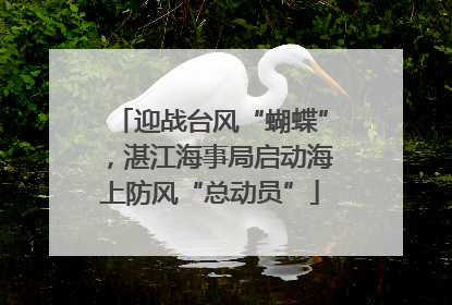 迎战台风“蝴蝶”，湛江海事局启动海上防风“总动员”