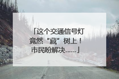 这个交通信号灯竟然“藏”树上！市民盼解决……