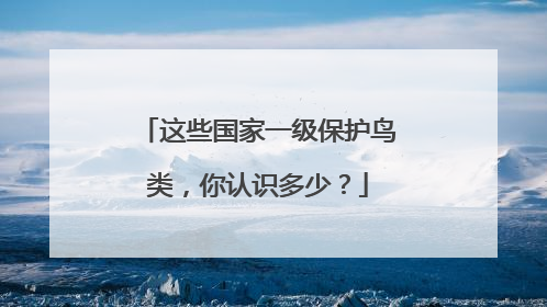 这些国家一级保护鸟类，你认识多少？