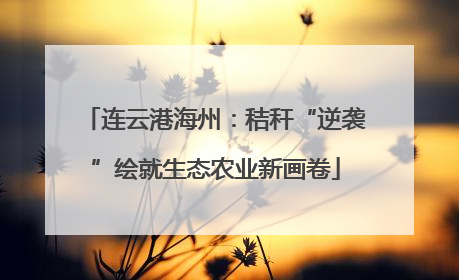连云港海州：秸秆“逆袭”绘就生态农业新画卷
