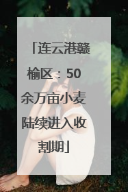 连云港赣榆区：50余万亩小麦陆续进入收割期